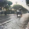 elieteribas2