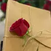 ayoo2703
