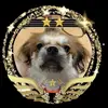 user4137300403815