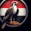 user6276220505187