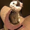 happycute530