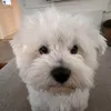 withnoissues_