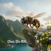 ongdurio