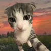sanchuzaabc