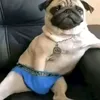 t.y.b.u