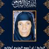 أبوالجزيرى