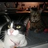 michi.loveers