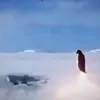 toastvzpvvu