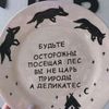 svoboda_81