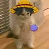 boonurito
