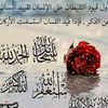 user4313429507182