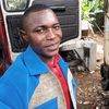 nenge2233