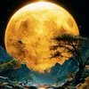 elyssonleite