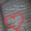 tayyaba.awan41