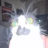 iivvaa_1