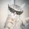 mama_mia554