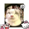 bnhvs71