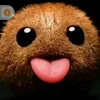 frug_pudgm