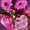 amrinnn__