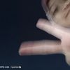ppuuttrriieeee_