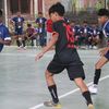 all.rophofive