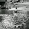 dagoatkara
