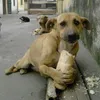 user2031066907
