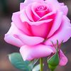 a.k.azad.74134689