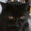 importedbeer7