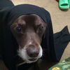 chocotacomarie