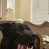 tizzysong.com