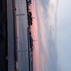 angelica_1678
