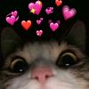 hiii_araa