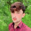 muhammad.tanzeel.2