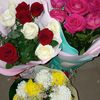 user4970413668059