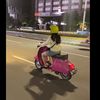gendis0105_