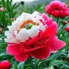 user9730057812755