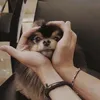 lila_8022