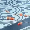 🏆️✯✯✯✯✯✯✯✯🏆️
