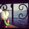 user140600915