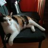 natalia_sikow12