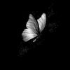 kaklong_hasliza