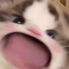ayuuu1_4