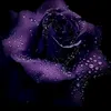 user1499044800816