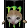 majtki4