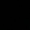 hariri02008