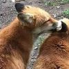 ihopeyoullmjssme