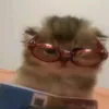 hahsgdkdsgsb