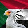 abdo871414