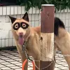 _nhincaideo_4